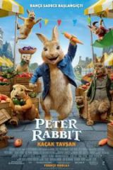 Peter Rabbit Kaçak Tavşan HD İzle