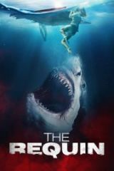 The Requin HD İzle